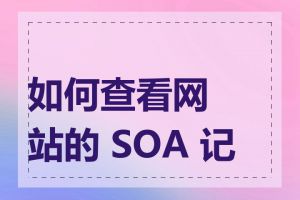如何查看网站的 SOA 记录
