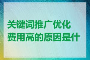 关键词推广优化费用高的原因是什么