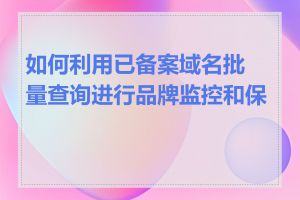 如何利用已备案域名批量查询进行品牌监控和保护