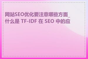 网站SEO优化要注意哪些方面_什么是 TF-IDF 在 SEO 中的应用