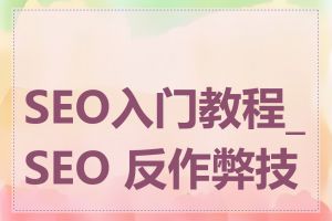 SEO入门教程_SEO 反作弊技巧
