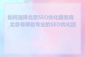 如何选择北京SEO优化服务商_北京有哪些专业的SEO优化团队