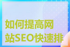 如何提高网站SEO快速排名
