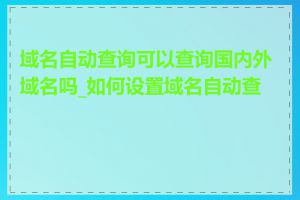 域名自动查询可以查询国内外域名吗_如何设置域名自动查询