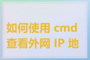 如何使用 cmd 查看外网 IP 地址