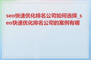 seo快速优化排名公司如何选择_seo快速优化排名公司的案例有哪些
