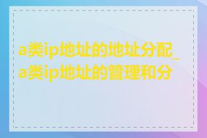 a类ip地址的地址分配_a类ip地址的管理和分配