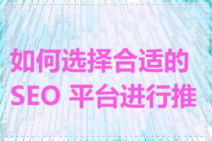 如何选择合适的 SEO 平台进行推广