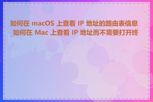 如何在 macOS 上查看 IP 地址的路由表信息_如何在 Mac 上查看 IP 地址而不需要打开终端