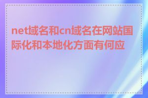 net域名和cn域名在网站国际化和本地化方面有何应用