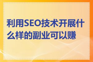 利用SEO技术开展什么样的副业可以赚钱