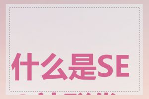 什么是SEO站群优化