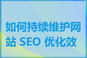 如何持续维护网站 SEO 优化效果