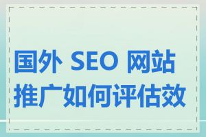 国外 SEO 网站推广如何评估效果