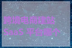 跨境电商建站 SaaS 平台哪个好