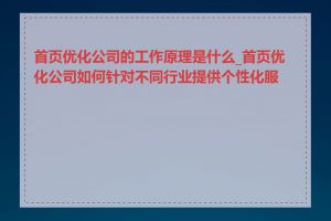 首页优化公司的工作原理是什么_首页优化公司如何针对不同行业提供个性化服务