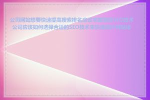 公司网站想要快速提高搜索排名应该掌握哪些SEO技术_公司应该如何选择合适的SEO技术来快速提升网站排名