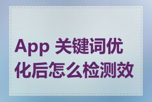 App 关键词优化后怎么检测效果