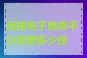 自建电子商务平台需要多少投资