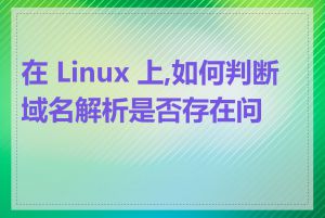 在 Linux 上,如何判断域名解析是否存在问题
