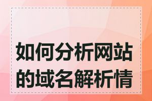 如何分析网站的域名解析情况