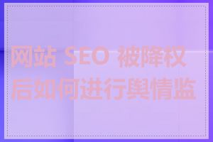 网站 SEO 被降权后如何进行舆情监控
