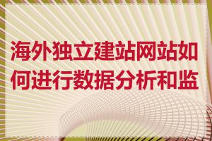 海外独立建站网站如何进行数据分析和监测