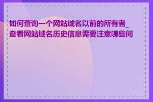 如何查询一个网站域名以前的所有者_查看网站域名历史信息需要注意哪些问题