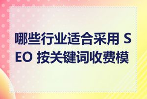 哪些行业适合采用 SEO 按关键词收费模式