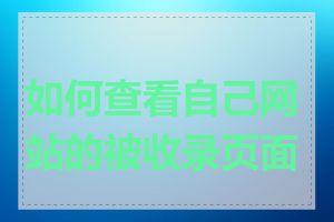 如何查看自己网站的被收录页面数