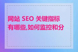 网站 SEO 关键指标有哪些,如何监控和分析