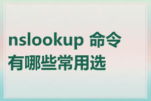 nslookup 命令有哪些常用选项