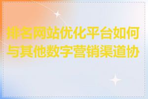 排名网站优化平台如何与其他数字营销渠道协同