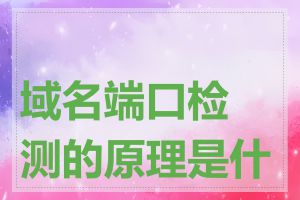 域名端口检测的原理是什么