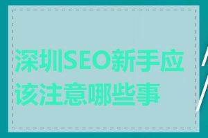 深圳SEO新手应该注意哪些事项
