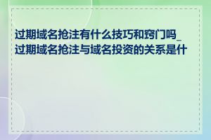 过期域名抢注有什么技巧和窍门吗_过期域名抢注与域名投资的关系是什么
