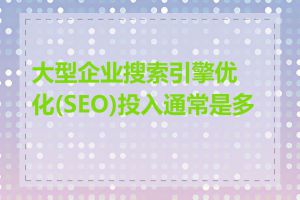 大型企业搜索引擎优化(SEO)投入通常是多少