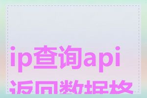 ip查询api返回数据格式