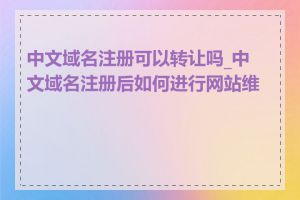 中文域名注册可以转让吗_中文域名注册后如何进行网站维护