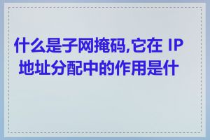 什么是子网掩码,它在 IP 地址分配中的作用是什么