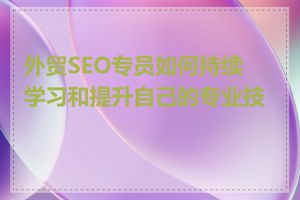 外贸SEO专员如何持续学习和提升自己的专业技能