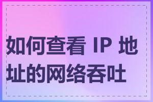 如何查看 IP 地址的网络吞吐量