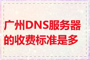广州DNS服务器的收费标准是多少