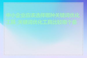 中小企业应该选择哪种关键词优化工具_关键词优化工具比较哪个最好