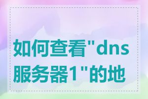 如何查看"dns服务器1"的地址