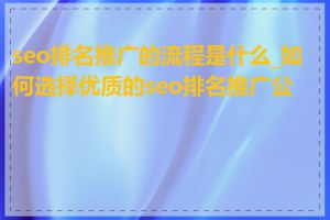 seo排名推广的流程是什么_如何选择优质的seo排名推广公司