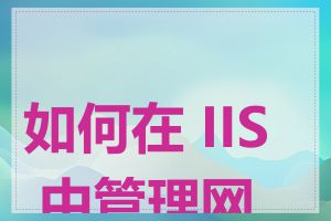 如何在 IIS 中管理网站