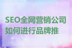SEO全网营销公司如何进行品牌推广