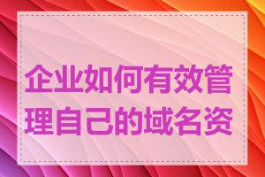 企业如何有效管理自己的域名资产