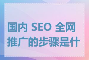 国内 SEO 全网推广的步骤是什么